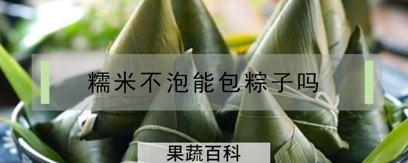 糯米不泡能包粽子吗
