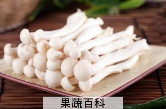 海鲜菇的功效与作用及禁忌