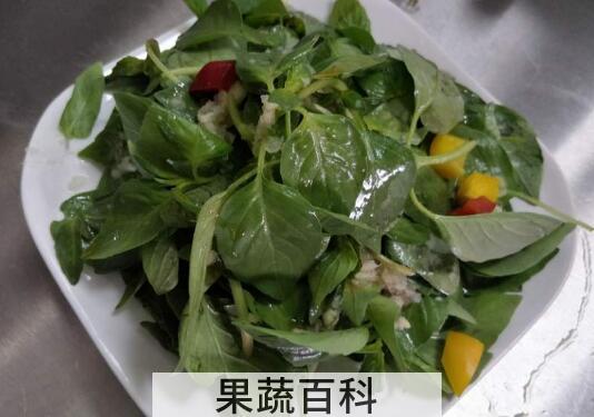 荆芥菜怎么吃 荆芥菜的食用方法