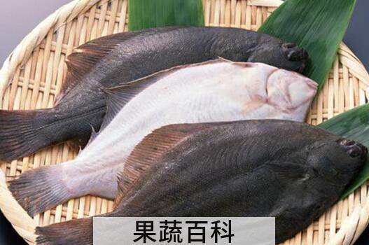 比目鱼和多宝鱼的区别 吃比目鱼的好处