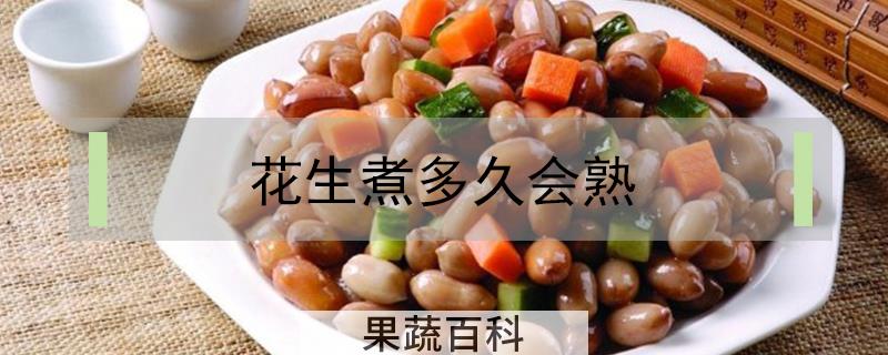 花生煮多久会熟