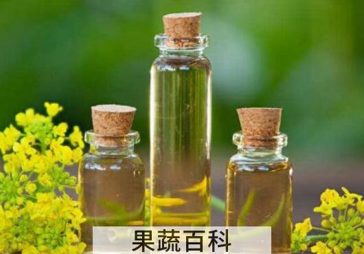 芥花油的优点和缺点 芥花油的功效