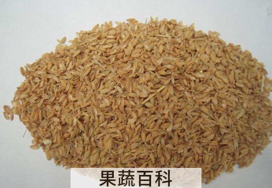 稻壳和米糠的区别 米糠的功效