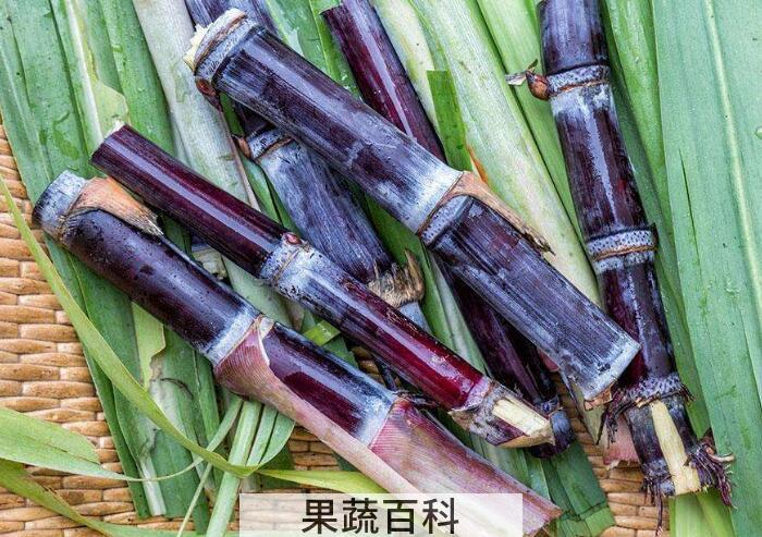 冬令佳果甘蔗的功效与作用，肉脆多汁怎么都吃不腻