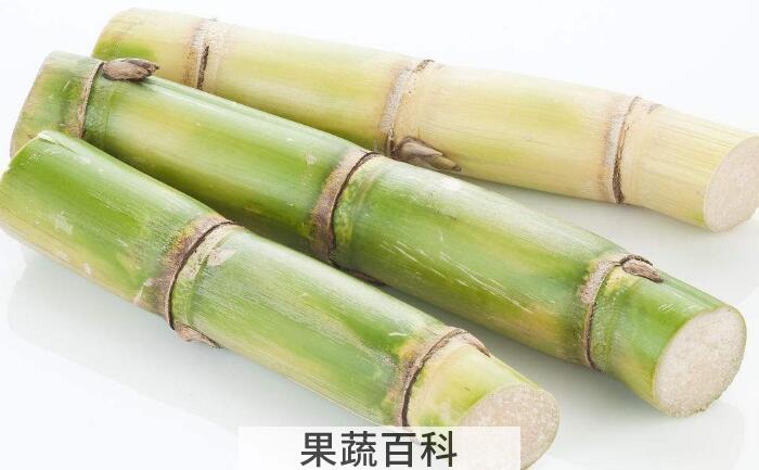 冬令佳果甘蔗的功效与作用，肉脆多汁怎么都吃不腻
