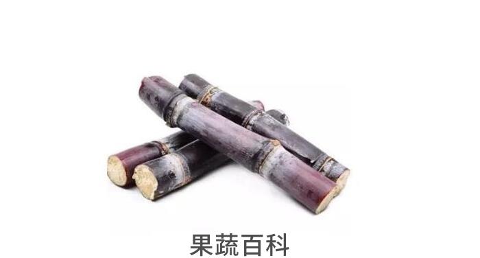 冬令佳果甘蔗的功效与作用，肉脆多汁怎么都吃不腻