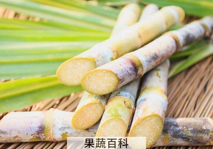 冬令佳果甘蔗的功效与作用，肉脆多汁怎么都吃不腻