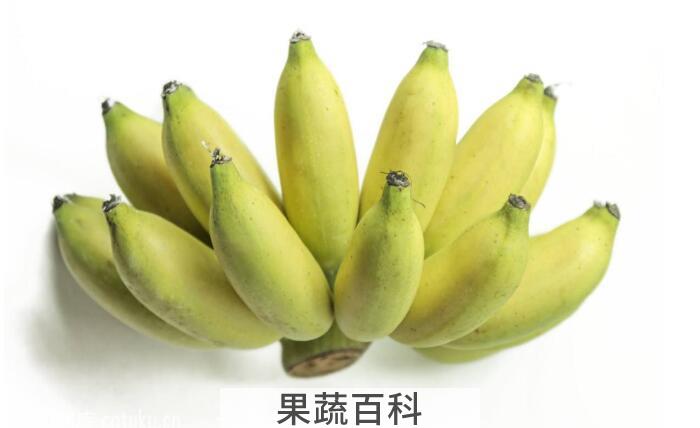 消炎解毒还抗癌，带你了解芭蕉的功效与作用
