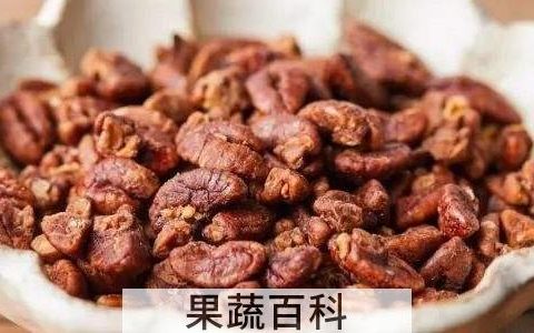 100斤核桃出多少油