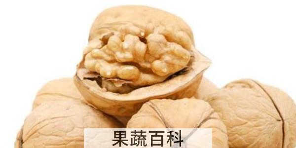 100斤核桃出多少油