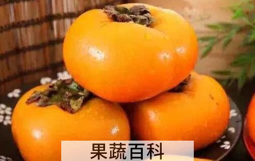 甜柿的功效和作用 吃甜柿的好处有哪些