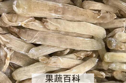 沙虫不适合什么人群吃