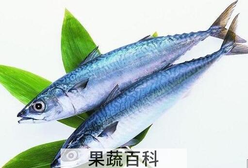 鲅鱼不能和什么一起吃 鲅鱼的食用禁忌