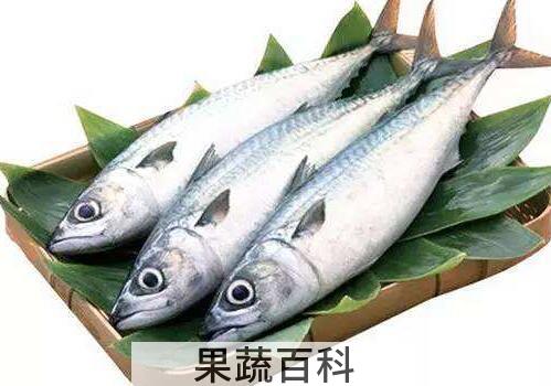 鲅鱼不能和什么一起吃 鲅鱼的食用禁忌