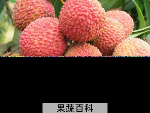 荔枝吃多了会上火吗，看营养师怎么说