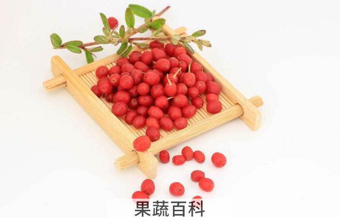 丰胸圣果羊水果的功效与作用，它的价值体现在哪里？