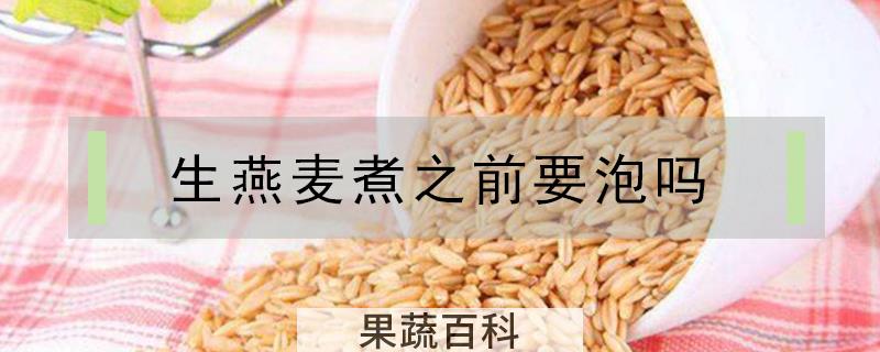 生燕麦煮之前要泡吗