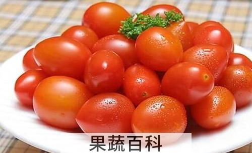 小柿子的功效与作用