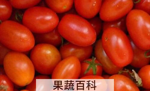 小柿子和大柿子的区别 吃柿子的好处