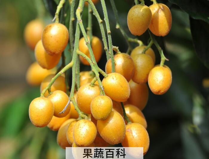 酸酸甜甜黄皮果的功效与作用，夏季防中暑就选它