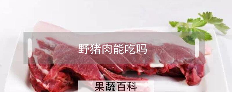 野猪肉能吃吗