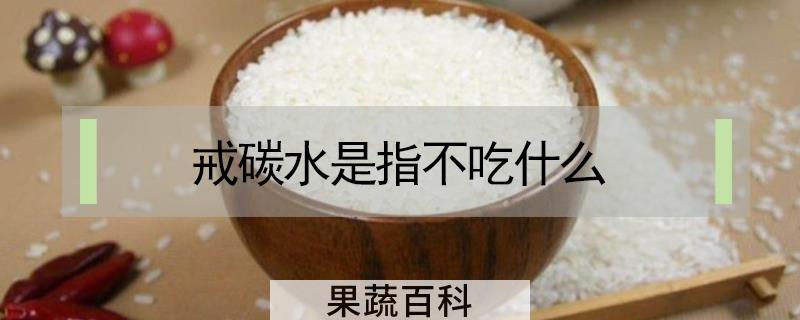 戒碳水是指不吃什么