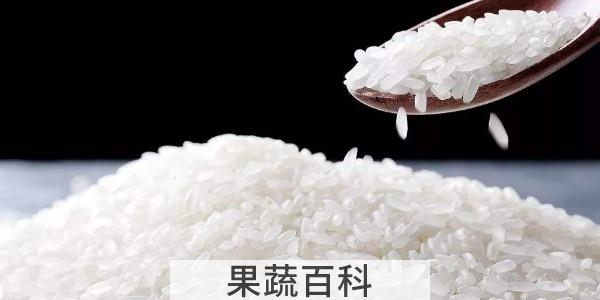 戒碳水是指不吃什么