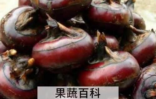 马蹄泡酒的功效与作用
