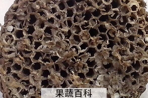 干马蜂窝的食用方法禁忌