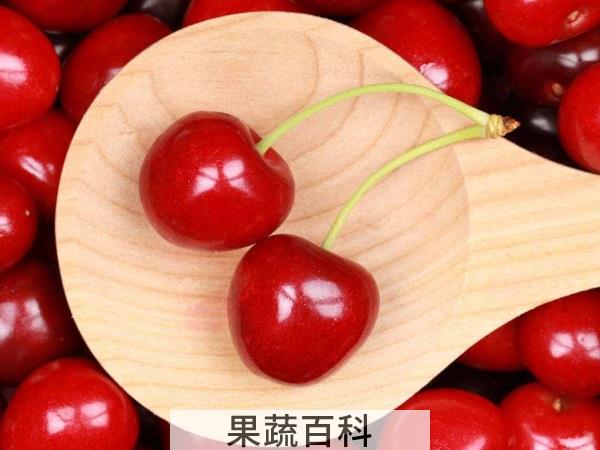 桃李满天下 夏天应季水果有哪些