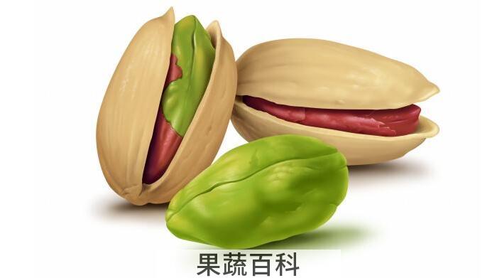 心脏的“保镖”阿月浑子，阿月浑子的功效与作用有哪些？