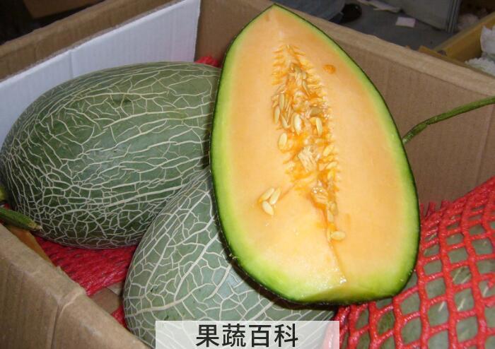 “瓜中之王”哈密瓜的功效与作用，为何大家如此热爱它？