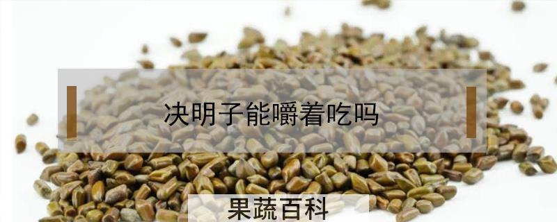 决明子能嚼着吃吗