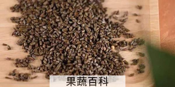 决明子能嚼着吃吗