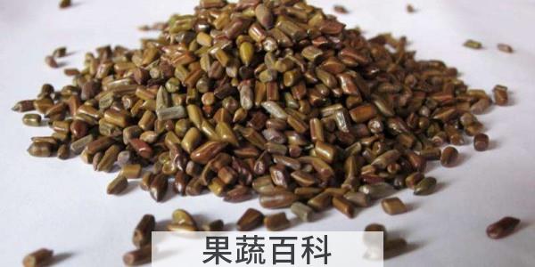 决明子能嚼着吃吗