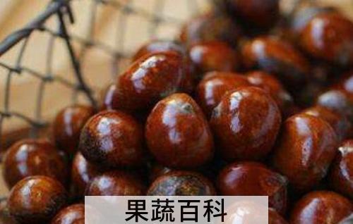 板栗泡酒的功效与作用 板栗的食用方法