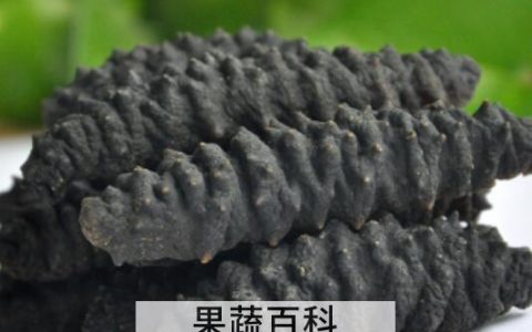 黑海参的营养价值与功效