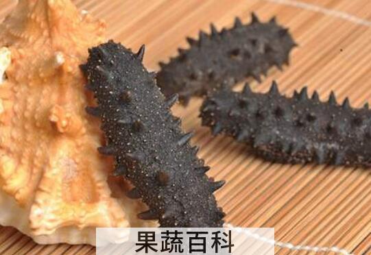 黑海参的营养价值与功效
