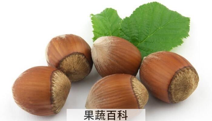“坚果之王”榛子的功效作用，多吃榛子好处多多