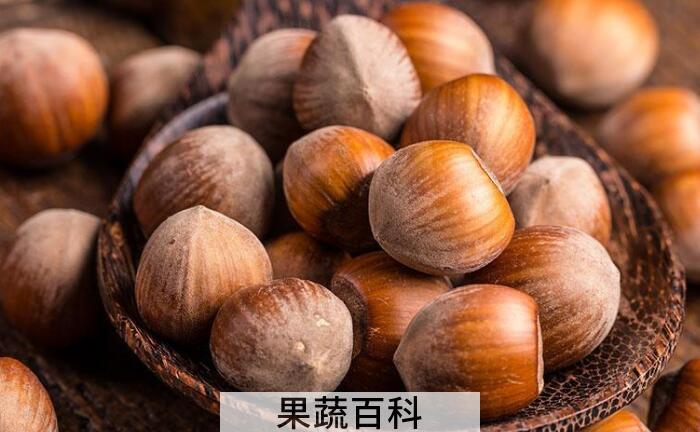 “坚果之王”榛子的功效作用，多吃榛子好处多多