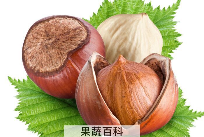 “坚果之王”榛子的功效作用，多吃榛子好处多多