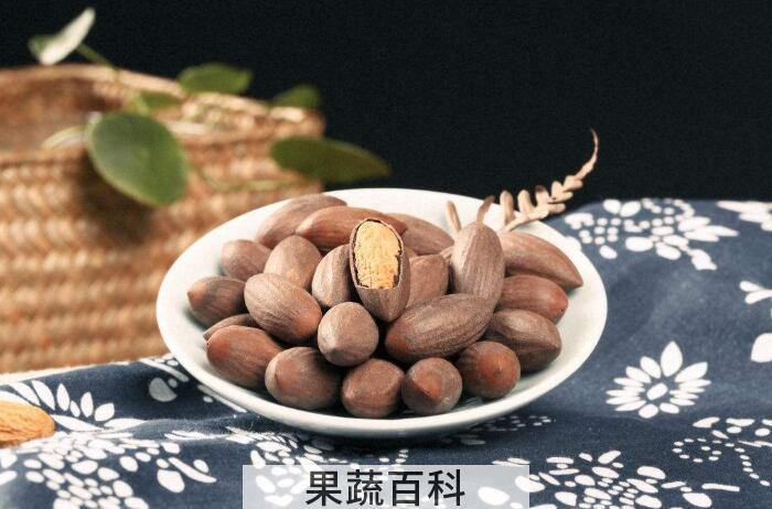 香酥可口香榧的功效与作用，看电视的最佳伴侣！