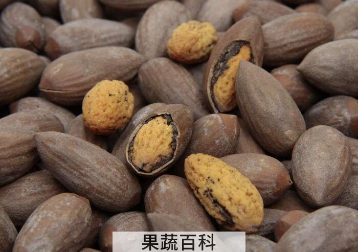 香酥可口香榧的功效与作用，看电视的最佳伴侣！