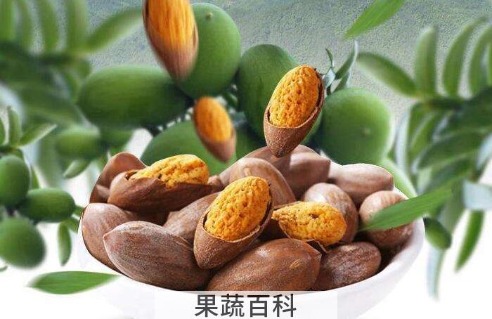 香酥可口香榧的功效与作用，看电视的最佳伴侣！