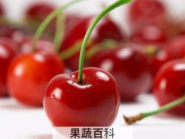预防宝宝麻疹 车厘子的营养价值都有哪些