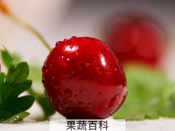预防宝宝麻疹 车厘子的营养价值都有哪些