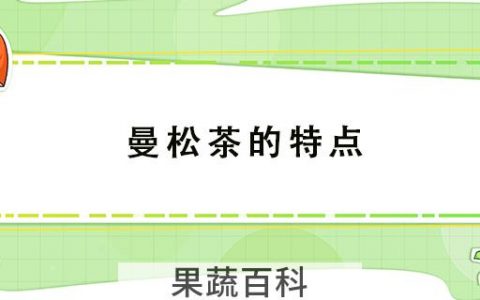曼松茶的特点