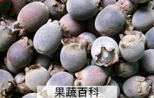 豆念果的功效和作用
