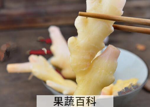 四川泡姜的功效与作用