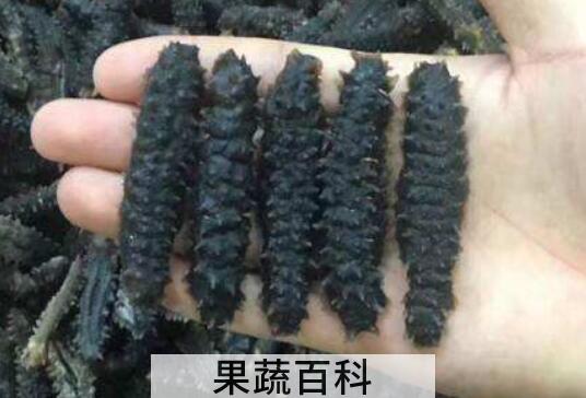 黑海参的处理方法与食用方法